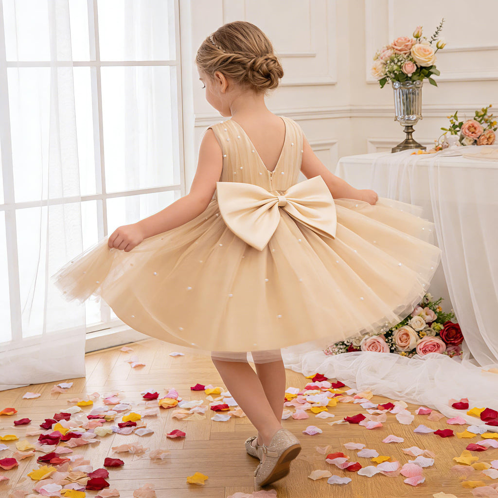 GetWish Toddler Baby Girls Princess Birthday Dress Flower Girl Pageant Party Tutu Wedding Formal Dresses Tulle Gown