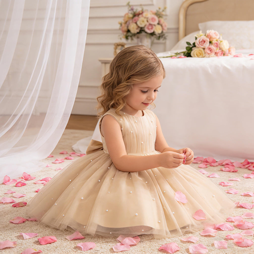 GetWish Toddler Baby Girls Princess Birthday Dress Flower Girl Pageant Party Tutu Wedding Formal Dresses Tulle Gown